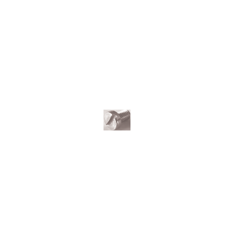 Parafuso para Calha Perfurada Zincada M6x10 (20x10)
