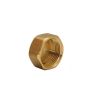 Female Brass Cap - 3/4