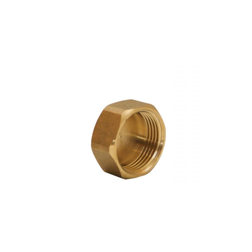 Female Brass Cap Printed - 1